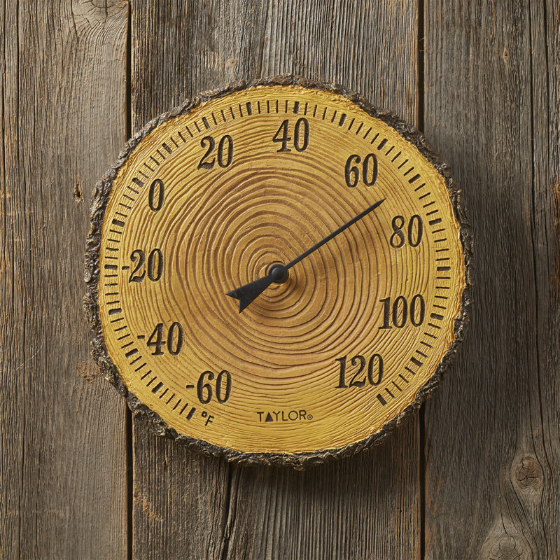 Taylor Tree Trunk Cross Section Polystone Thermometer
