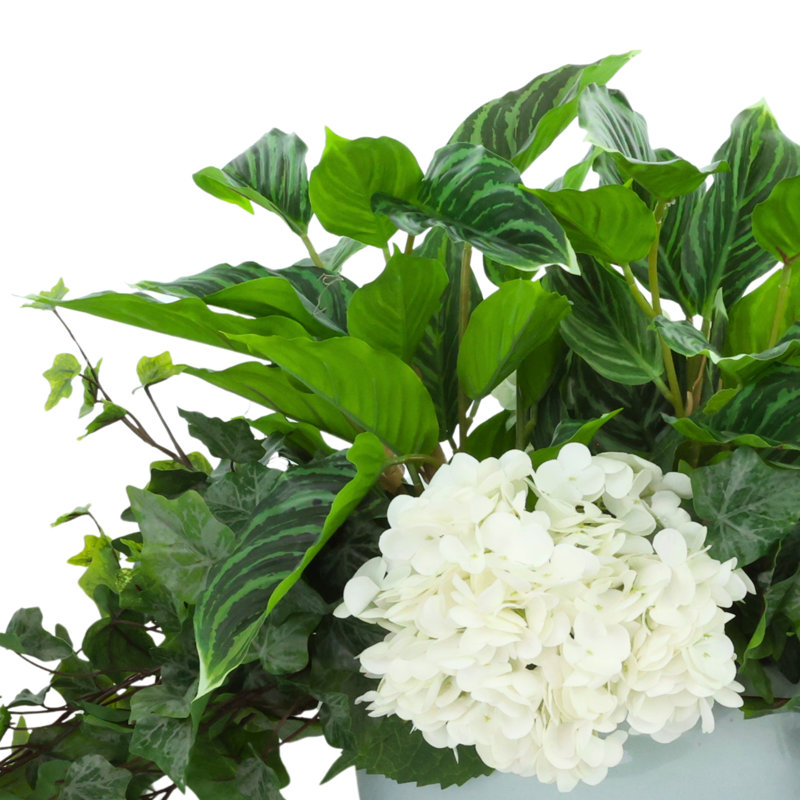 Arrangement de lierre et d'hortensias dans un pot en céramique