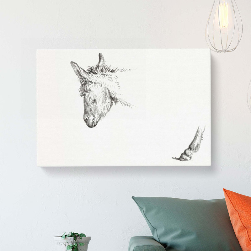 Sketch of a Donkey by Jean Bernard - Wrapped Canvas Drawing - Wrapped Canvas, 35cm H x 50cm W x 3cm D