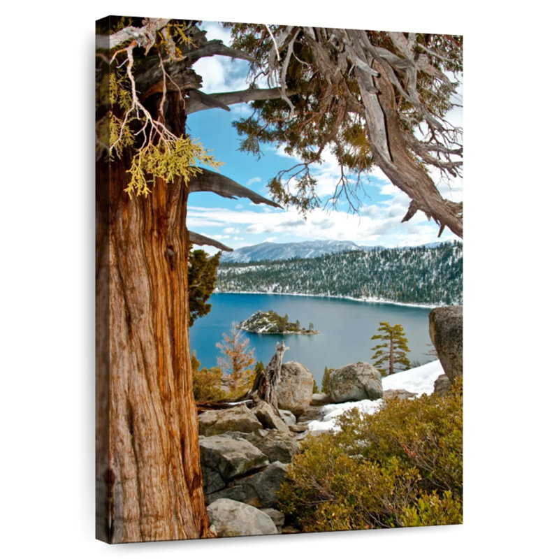 Point de vue d'hiver d'Alvord Lake Tahoe, H 24 po x l 16 po