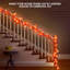 Guirlande de lumières en érable pour l'extérieur intérieur d'automne de 0,5 po Birgit
