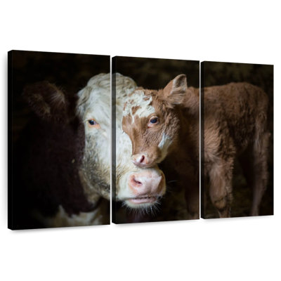 Bébé vache câlin Brampt