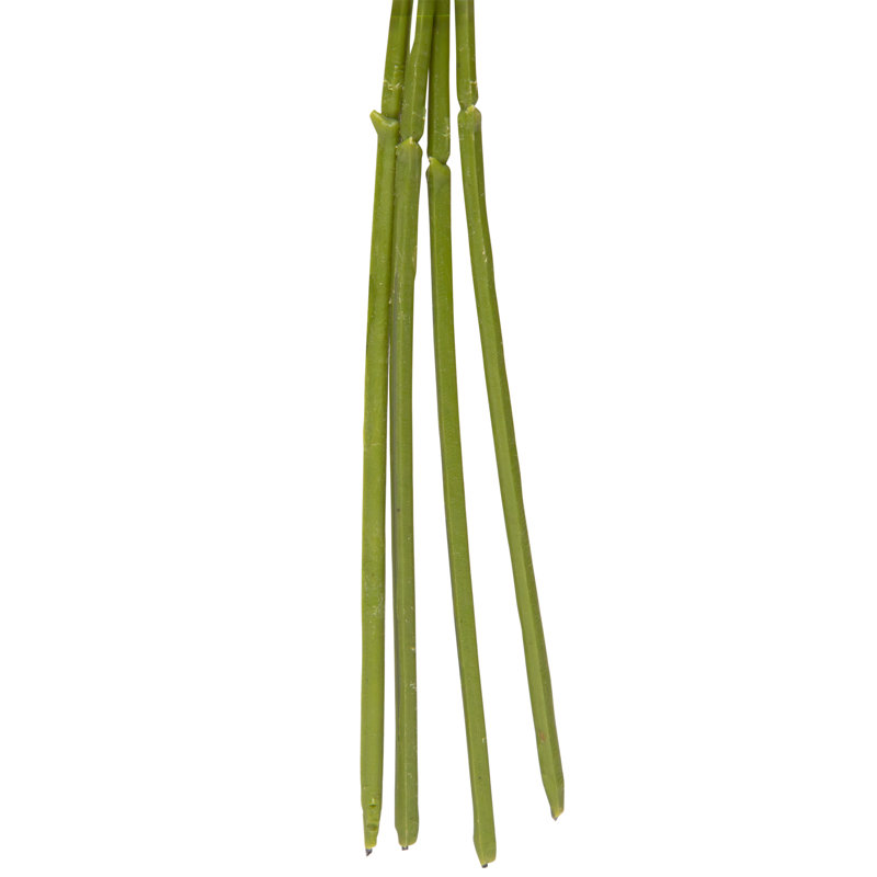 Thistle Artificial Floral Spray Bundles - 15" - Green And Pink - Set Of 6
