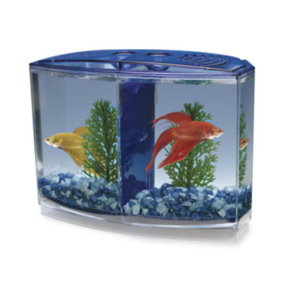  Double Betta Bowfront Tank Kit