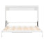 Lit escamotable mural et USB Murphy, blanc
