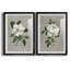 Magnolia botanique - ensemble de 2 reproductions d'art-512224798-512224796-512224786