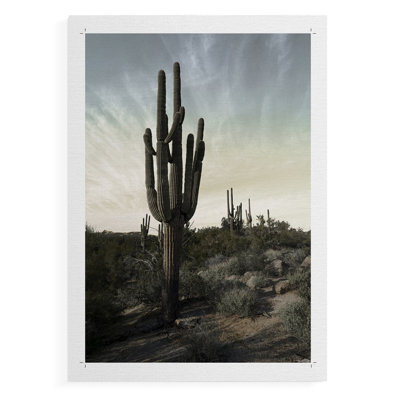 «King of the Desert», reproduction encadrée - reproduction de toile seulement - non encadrée, H 18 po x l 12 po