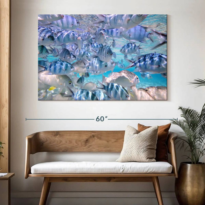 Poisson dans la lagune Aitutaki, H 34 po x l 51 po