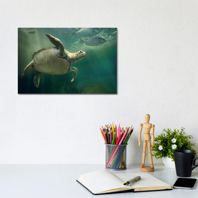 Green Sea Turtle And Fish, Sabah, Malaysia II by Tim Fitzharris - No Frame Gallery-Wrapped Canvas Giclée on Canvas