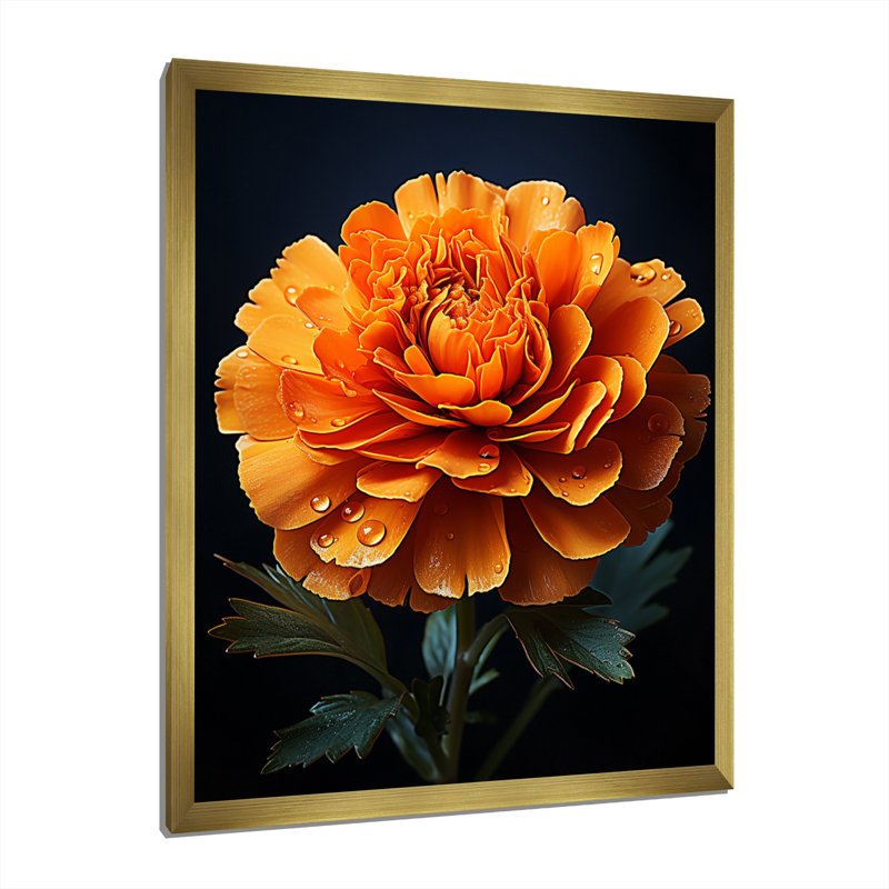 " Gold Marigold Radiant Marigold An ", 44" H x 34" W x 1.5" D, Gold Picture Frame