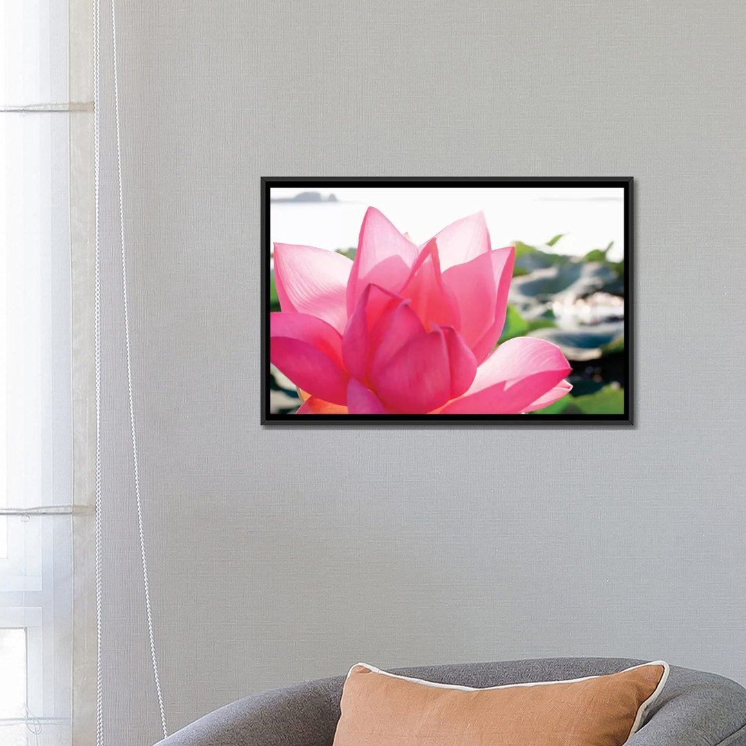 " Close-Up Of A Lotus Flower In Full Bloom " by Michele Molinari East Urban Home Mat