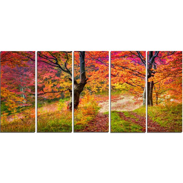 DesignArt Bright Colorful Fall Trees In Forest On Canvas Print | Wayfair