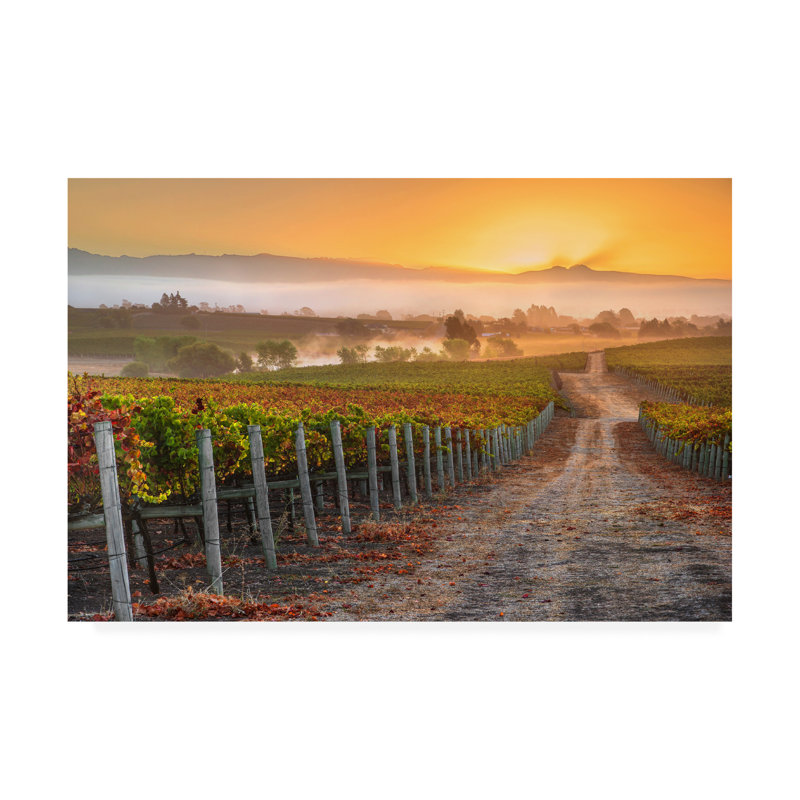 Reproduction de photo sur toile tendue, "Vineyard Sunrise" par John GAVRILIS, H 12 po x l 19 po x P 2 po