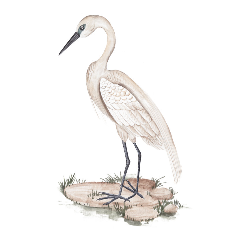 A White Heron I - Painting, 46cm H x 30cm W, Black Floater Framed