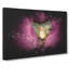 Clownfish & Sea Anemone - Wrapped Canvas-56666271