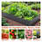 Metal Raised Garden Bed Outdoor Reinforced Galvanized Rustproof Planter Boxes For Vegetables, Raised Beds For Growing Flowers Herbs Succulents-1926607225