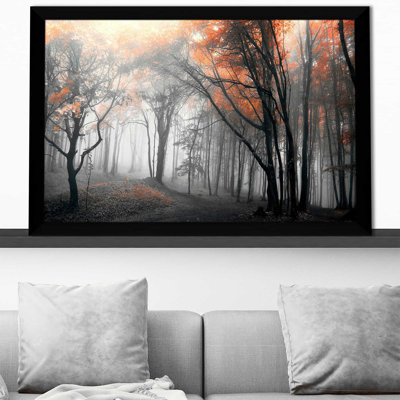 Autumn Woods I par - photographie