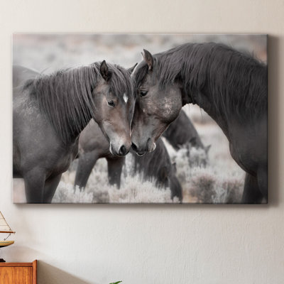 Wild Horses - Wrapped Canvas Print