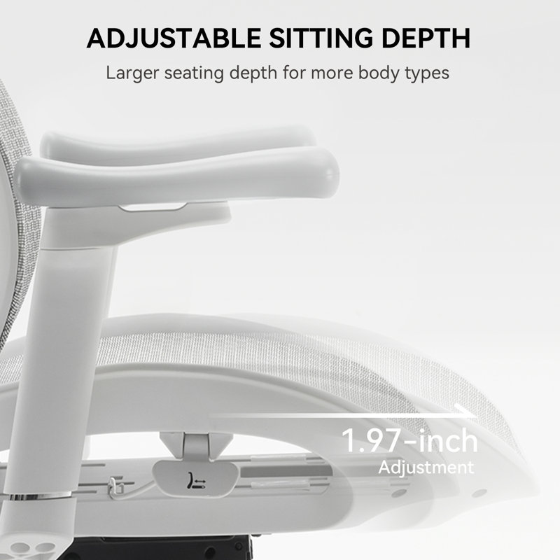 Ergonomic Office Chair, with Dual Dynamic Lumbar Support, 4D Armrests, Light Grey/Silver, Grey