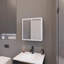 Pharmacie avec miroir inclus et 1 porte-1103529586