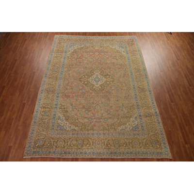 Traditional   Area Rug 10x13