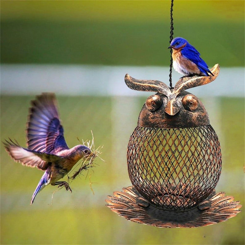 Mangeoire d'oiseaux avec trous pour oiseaux