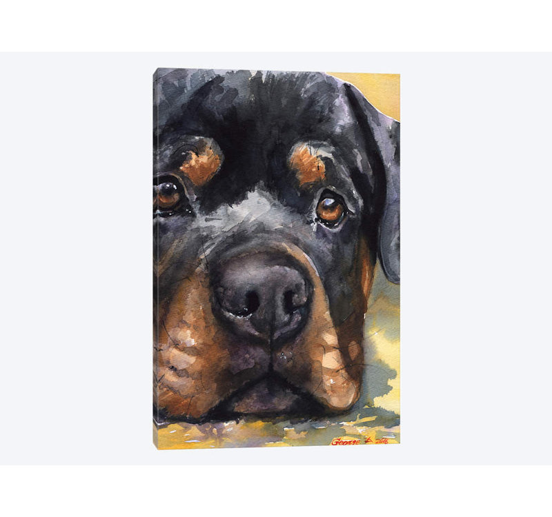 Rottweiler, reproduction sur toile, H 12 po x l 8 po x P 0,75 po, Toile tendue, Pas de tapis