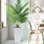 Jardinière carrée de 22 pouces de hauteur en faux 2 carrés blanc, arrosage automatique pour le porche blanc haut, arrosage, cour arrière design