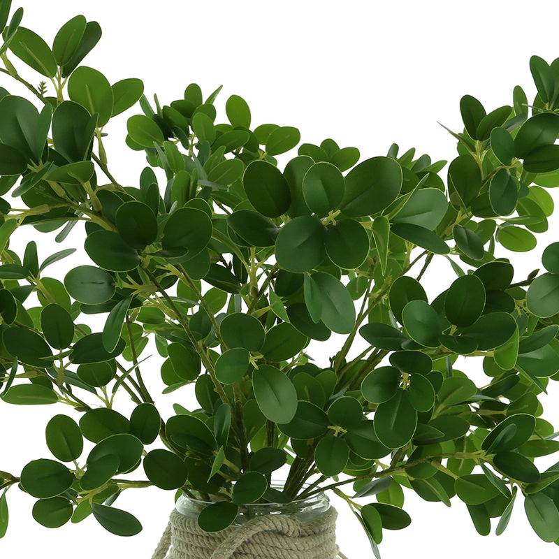 Nature's Elegance Faux Boxwood Plant in Glass Vase
