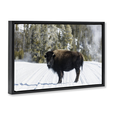 «Bison on Snowy Track», art mural sur toile flottante, design par PIDDIX
