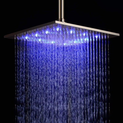Wellman Rain Adjustable Shower Head