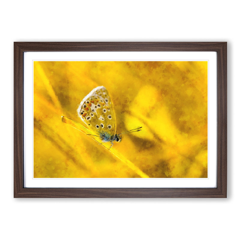 Yellow Butterfly - Picture Frame Painting Print, Walnut Framed, 40cm H x 60cm W x 2cm D