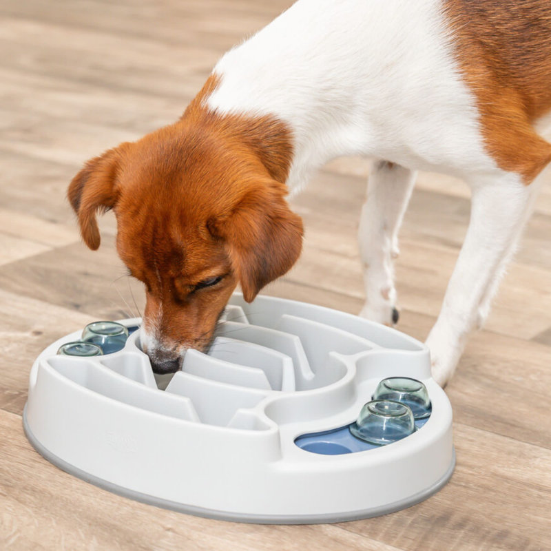 TRIXIE Slide & Feed Strategy Game, Beginner Dog Puzzle Toy, Level 1 Activity, Treat Puzzle