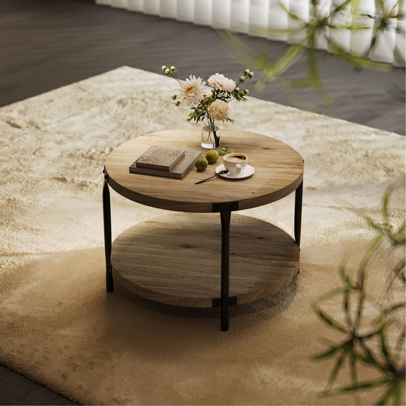 Table basse moderne moderne minimaliste, table basse à double couche en panneau de fibres à densité moyenne de 29,61 pouces, rangement ouvert et assemblage facile, convient au salon et à la salle d'étude.