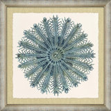 Ocean Jewel Collection 6 Painting