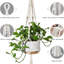 Paquet de 5 pots à fleurs suspendus en macramé pour porte-plante d'intérieur de taille différente pour Boho Home Decor