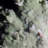Cardyn Landscape & Nature Crystal