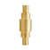 Babylon Sconce-HW