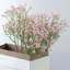 Arrangement floral Baby's Breath-1070477539-1070477549