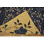 Antique Peking Chinese Floral Ivory 1880s Rug