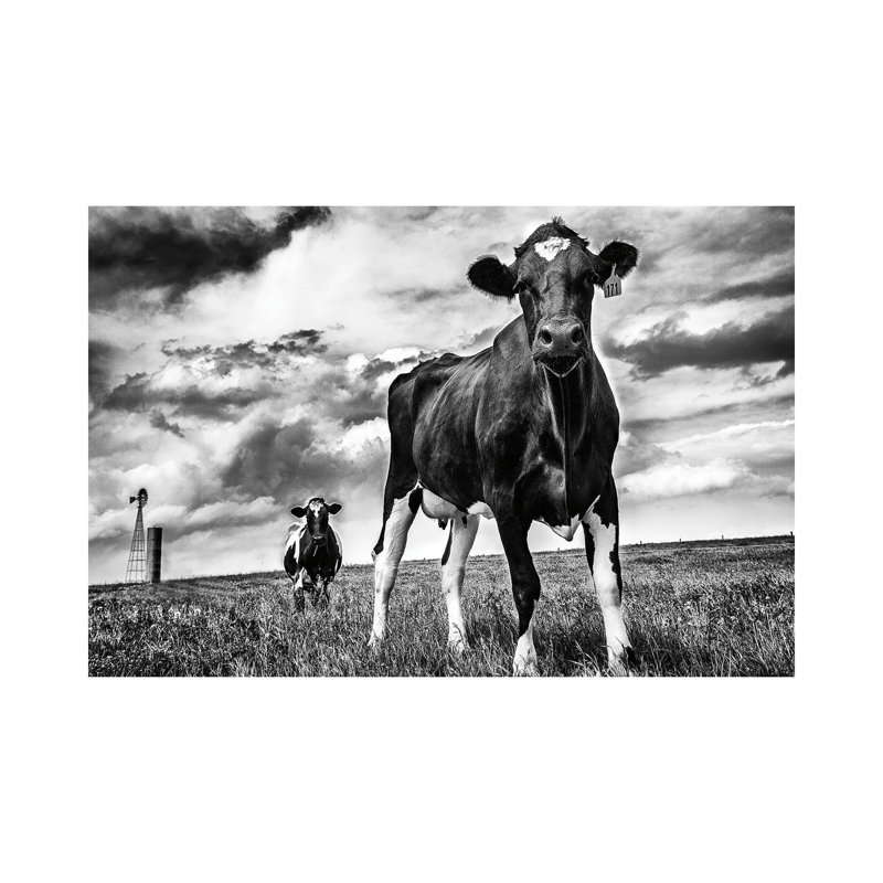 Waiting BW by Aledanda - Wrapped Canvas Print, 20.32 cm H x 30.48 cm W