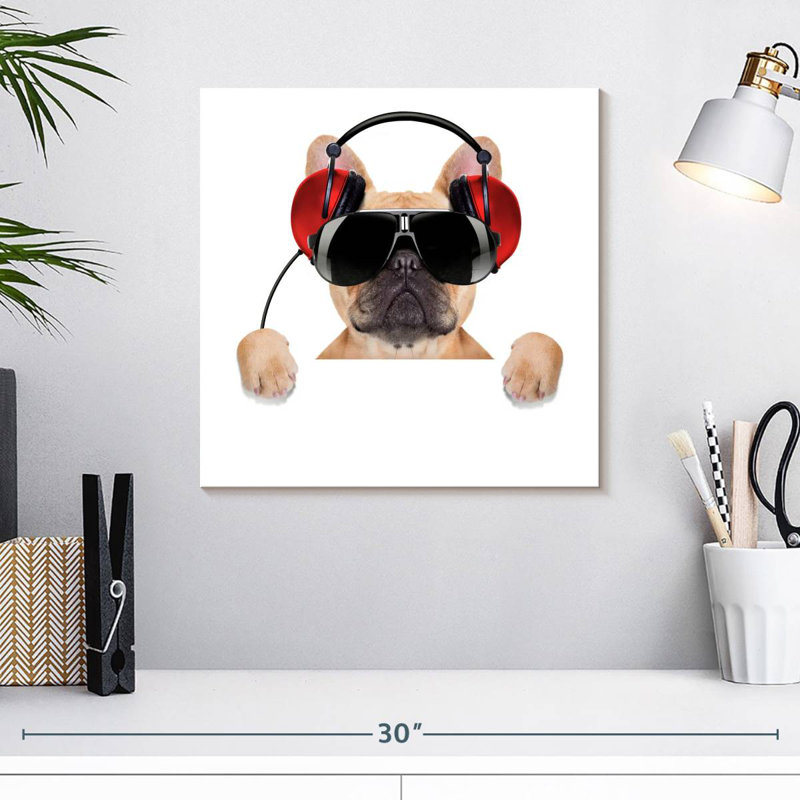 Bouledogue français Bramoph audiophile, H 16 po x l 16 po