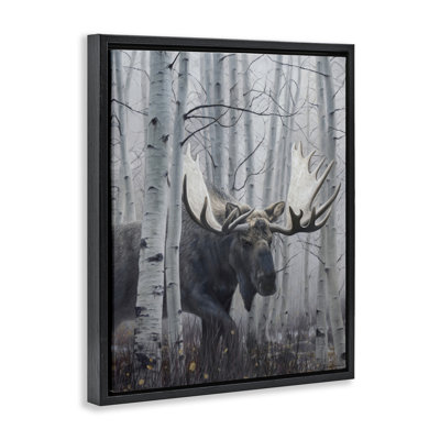 Moose Peering in Birch Woods Floating Frame, design by James Corwin