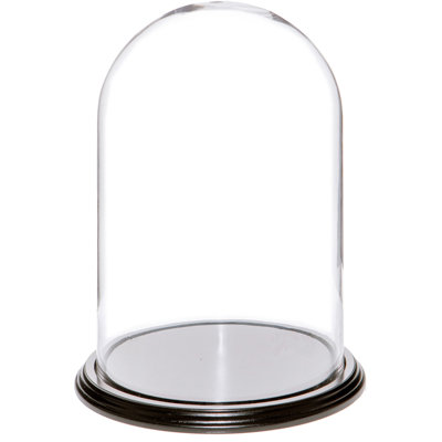 Jenett Glass Display Dome Cloche