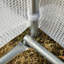 Alara Polytunnel Greenhouse With Roll-Up Side Walls And Steel Frame