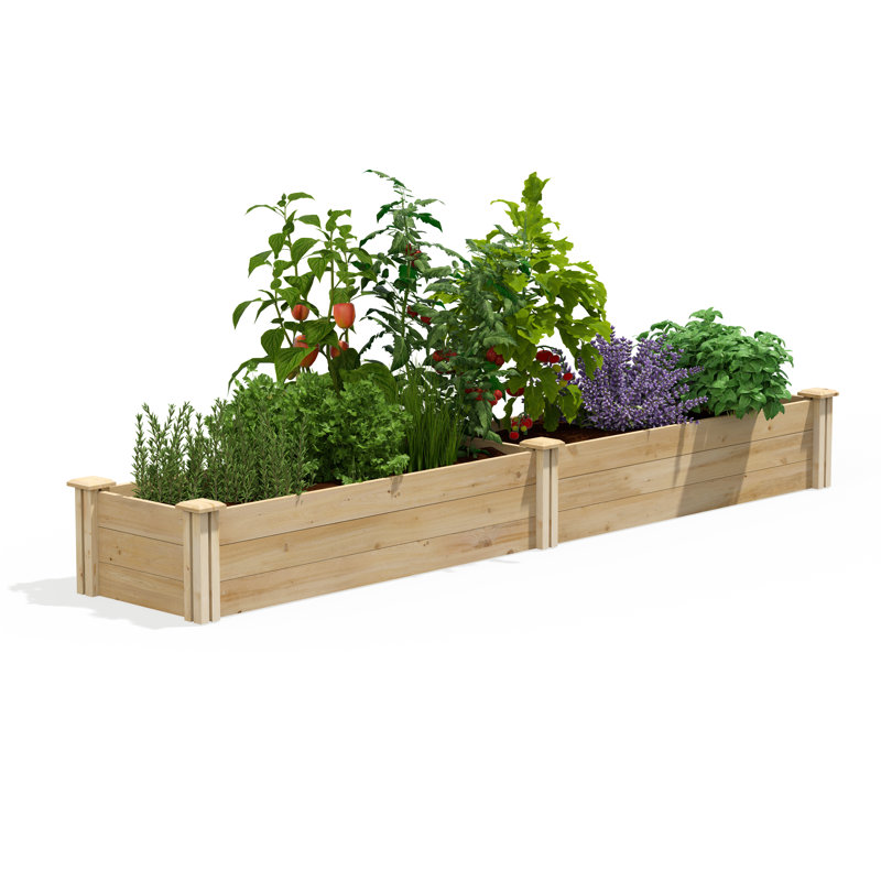 Original Cedar Raised Garden Bed, 10.5" H x 96" W x 16" D
