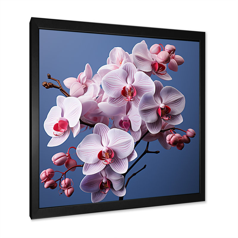 Orchidées mauves I - orchidées murales, H 24 po x l 24 po x P 1 po, Cadre simple noir