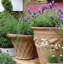 Cremont Handmade Pot Planter-16197646