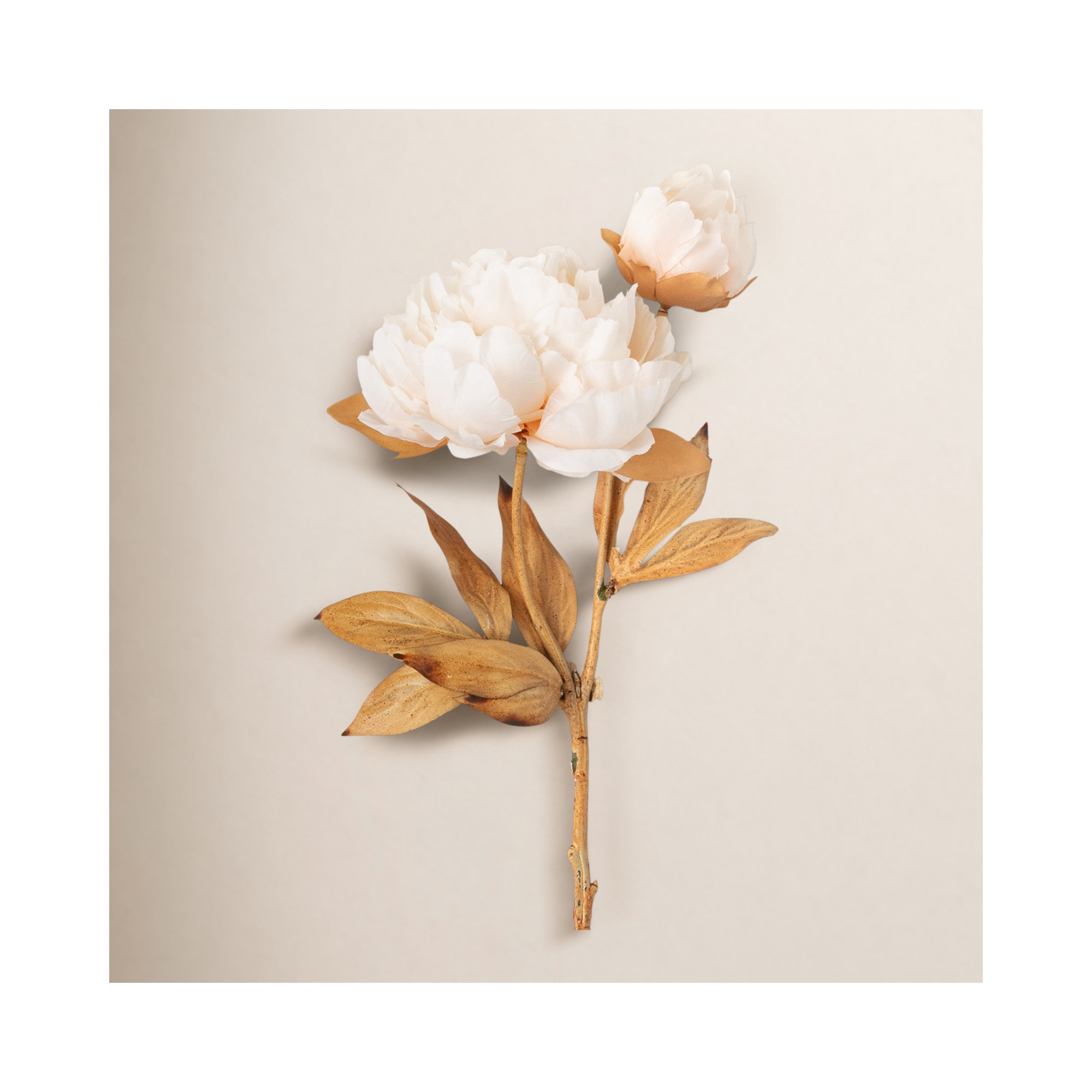 Nod To Nature Classic Blooming Peonies, 22" H x 6" W x 3.25" D, Cream