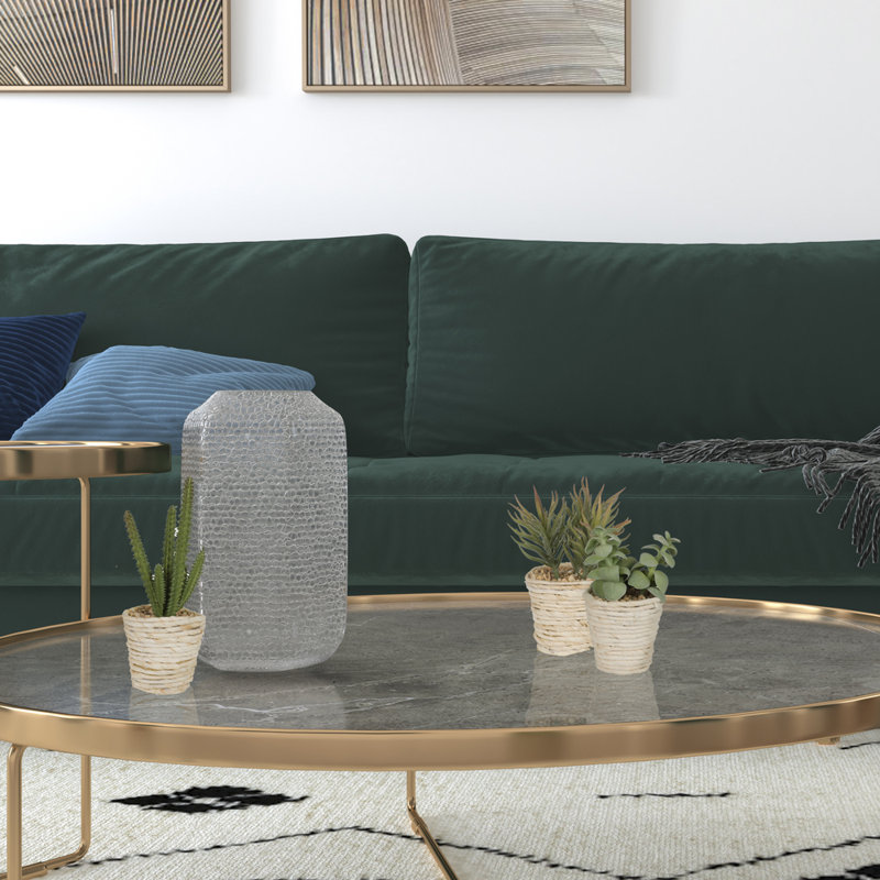 3 plantes grasses en pot